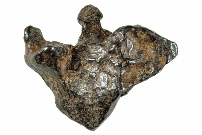 Sericho Pallasite Meteorite ( g) Metal Skeleton #267037